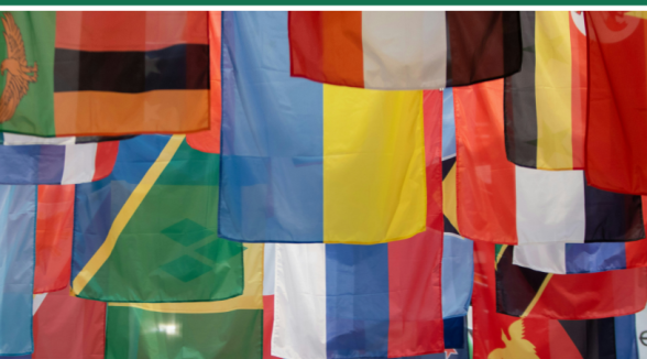 Global Review of Constitutional Law highlights Senate practice in ensuring the principle of self-defending democracy